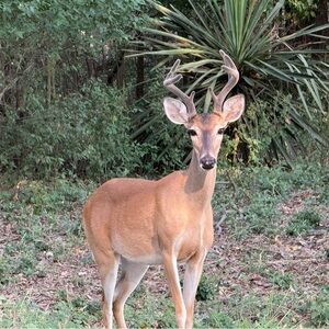Meet your Posher, Lee